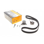 Комплект ГРМ Ford Focus II/Kuga I/Mondeo IV 2.5 05-15/Volvo C70/S40/S60/S80 2.0-2.5T 06-12 (23x142z) 