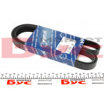 Ремінь генератора Citroen Berlingo 1.6HDI (+AC) (6PK1710) 