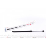 Амортизатор кришки багажника Renault Scenic II/Grand Scenic II 03-10 (вен) (з відкр.зад.Склом) 