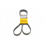 Ремінь генератора Citroen Jumper 1.9TD 94-02 (ALT,PS,AC) 