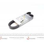 Ремінь генератора Fiat Scudo/Citroen Berlingo/VW Golf IV 1.8/1.9TDI 97- HD 