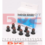 Сальник клапана (впуск) Fiat Scudo 2.0HDI (к-кт) 