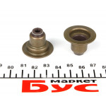 Сальник клапана (впуск/випуск) Renault Kangoo 1.2 97- 