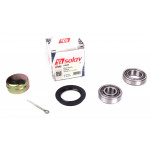 Підшипник маточини (задньої) Audi 80/100/A4/A6 (к-кт) 