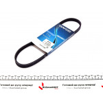 Ремінь генератора Ford Transit 2.0 TDCI 00-06 