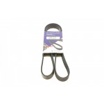 Ремінь генератора VW Golf/VW Bora 2.3 -00 (-AC) 