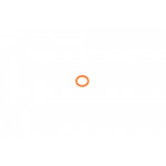 Прокладка турбіни BMW X1 (E84)/X3 (F25) 11-17 N20 B20 