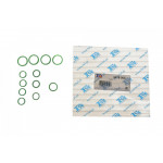 Прокладка компресора кондиціонера ущільнююча Renault Megane II 02-09/Espace IV 06- (К-кт) 