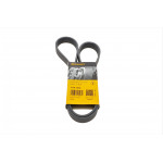 Ремінь генератора VW Touareg 3.0 Hybrid 10-18/Audi A4/A6/A7/Q5/Q7 3.0TFSI 08-17 