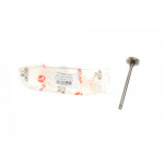 Клапан (випуск) Opel Combo/Astra H/G 1.7CDTI/DI 00- (26.5x6x98.1) (азотований) 