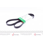 Ремінь генератора Fiat Ducato 2.0JTD 01- (ALT, AC) 