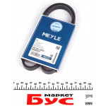 Ремінь генератора Audi/BMW/Fiat/Kia/Mazda (4PK890) 