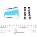 Сальник клапана (впуск/випуск) VW T5 2.5 TDI 03-10 (к-кт) 