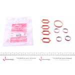 Комплект прокладок колектора впускного BMW 3 (E46) 318/320 d 00-07 