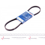 Ремінь генератора Citroen Berlingo/Peugeot Partner 1.1/1.4/1.6 96- (4PK855) 