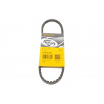 Ремінь генератора VW Golf/Jetta/Passat 1.6-2.0 88-97 