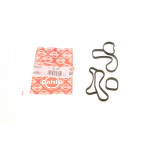 Прокладка радіатора масляного BMW 3 (G20/G80/G28)/5 (G30/F90)/7 (G11/G12) 15- (к-кт) B46/B47/B48 