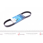 Ремінь генератора Nissan Almera 1.6i 16V 06- 