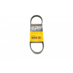 Ремінь генератора Hyundai i10/i20/i30 1.1/1.6CRDi 08-13/Fiat Doblo/Punto/Stilo 1.2/1.4 01- 