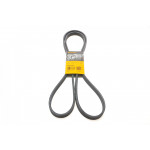 Ремінь генератора MB Sprinter (W906)/Vito (W639) 06- (OM651) 