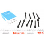 Болти головки (к-кт 10шт.) Audi 100/A4/VW Polo/Golf 1.3-2.0 90- (96mm) 