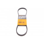 Ремінь генератора BMW 7 (E65/E66/E67)/X5 (E53)/Mazda MX-5 98-06 