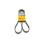 Ремінь генератора Ford Fiesta/Ka 1.3i 95-08 