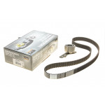 Комплект ГРМ Ford Transit 2.5D -92, (130x25.40), 50/52kw 