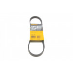 Ремінь генератора Citroen Berlingo 1.1-1.4 96-11/Peugeot Partner 1.1-1.4 96-15 