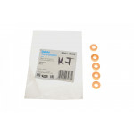 Комплект шайб під форсунку Renault Trafic 1.9-2.5 dCi (5 шт) (7.16x13.7x3) 