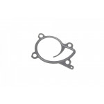 Прокладка помпи води Renault Kangoo 1.2 TCe 13- 