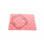 Прокладка помпи води Renault Master/Trafic 2.5 dCi 01- 