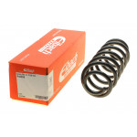 Пружина (задня) Skoda Octavia II 2.0RS/TDI RS 05-13 (нахи.з.ч)/VW Jetta IV 1.4TSI/2.0TDI 10-(седан) 