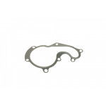 Прокладка помпи води Ford Connect 1.8TDCi 02- 