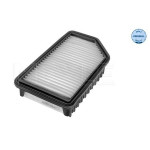 Фільтр повітряний Hyundai Accent 1.4/1.6 10-/Kia Rio III 1.1-1.6 11- 