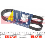 Ремінь генератора Fiat Ducato/Citroen Jumper 1.9D/TD 94-/Renault Trafic 2.5dCI 03- (6PK1155) 