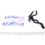 Патрубок радіатора пічки Renault Clio II/Kangoo 1.4/1.6 97- (к-кт в зборі) 