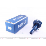 Амортизатор (передній) Ford Galaxy 06-15/Mondeo IV 07-15 (R) 