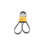 Ремінь генератора VW Passat B5/Audi A4/A6 1.9TDI 98-05/Skoda Superb 1.9/2.0TDI 01-08 