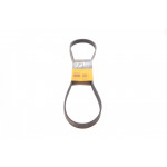 Ремінь генератора Citroen Jumper/Fiat Ducato 2.0/2.2HDi/JTD 02- 