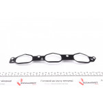 Прокладка колектора впускного MB Sprinter/Vito (M272) 06- (L) 