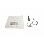 Прокладка радіатора масляного Citroen Jumpy/Fiat Scudo/Peugeot Expert 2.0 HDI 09- (к-кт) 