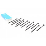 Болти головки (к-кт 12шт.) Volvo C30/C70/S40/S60/S80/V40/V50/V60/V70/XC60/XC70 2.0/2.4 D 06- 