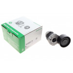 Натяжник ременя генератора Renault Kangoo/Megane/Scenic 1.2 TCe12- 