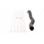 Патрубок інтеркулера (L) Dacia Duster/Logan 1.5dCi 07- 