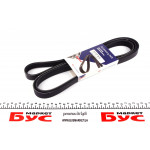 Ремінь генератора MB W124/W126/W201/W202 3.0 -96/VW LT 2.5TDI (6PK2172) 