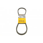 Ремінь генератора Iveco/MB/Toyota (13x960) 