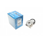 Натяжник ременя генератора Fiat Scudo 1.6 HDI 07- 