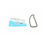 Прокладка впускного колектора BMW 3 (E90/F30/F80)/5 (F10)/7 (F01-F04) 06-15 N55/S55 