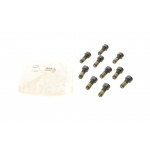 Болти маховика (к-кт 10 шт) Ford Focus/Mondeo 2.5 05-15 